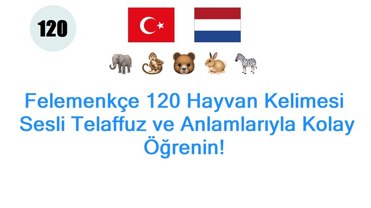 Felemenkçe 120 Hayvan Kelimesi: Sesli Telaffuz ve Anlamlarıyla Kolay Öğrenin!